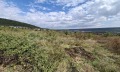 Продава  Парцел област Добрич , с. Рогачево , 5189 кв.м | 61305242