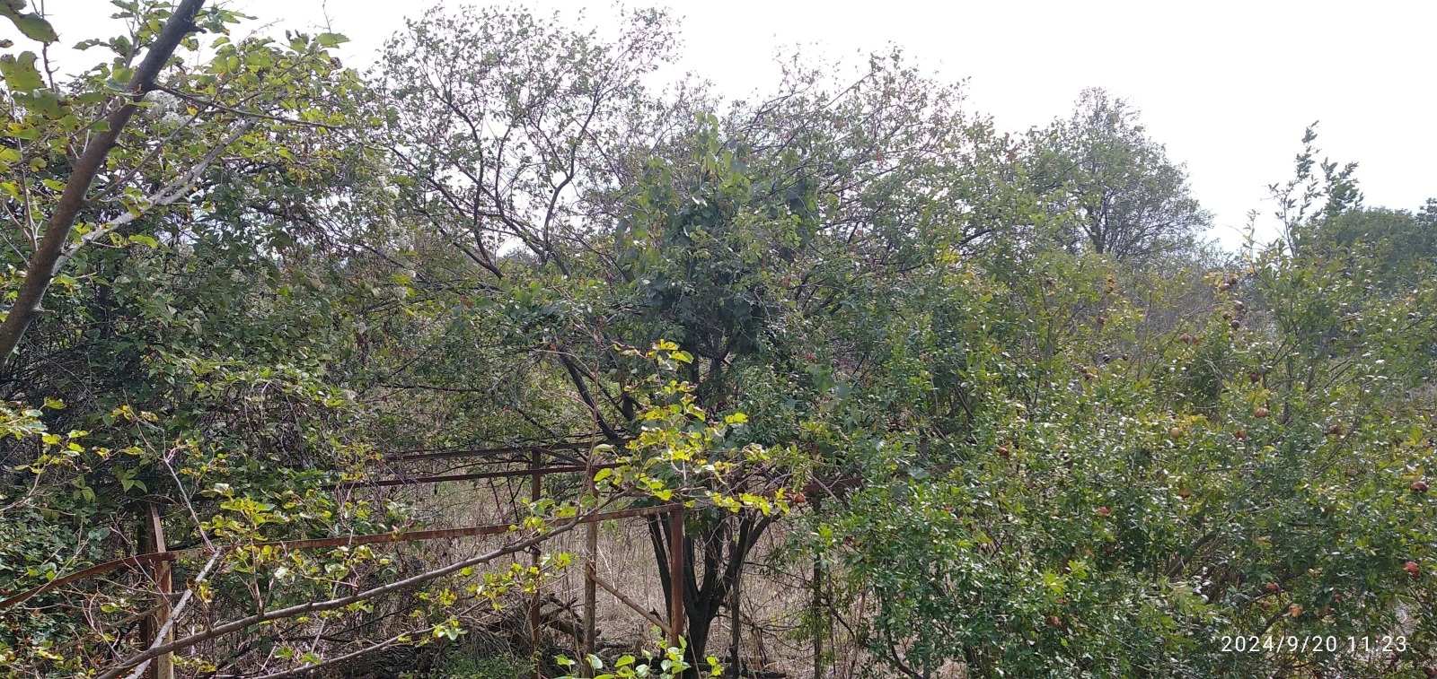 Продава КЪЩА | Imot.bg — изображение 9