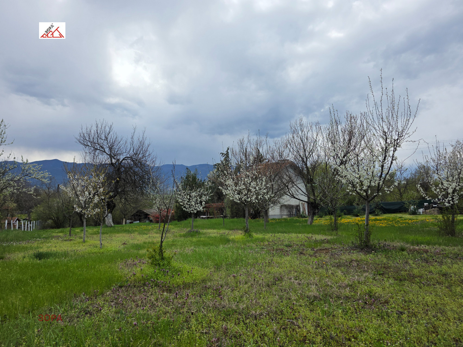 ������� ���� | Imot.bg � ����������� 4