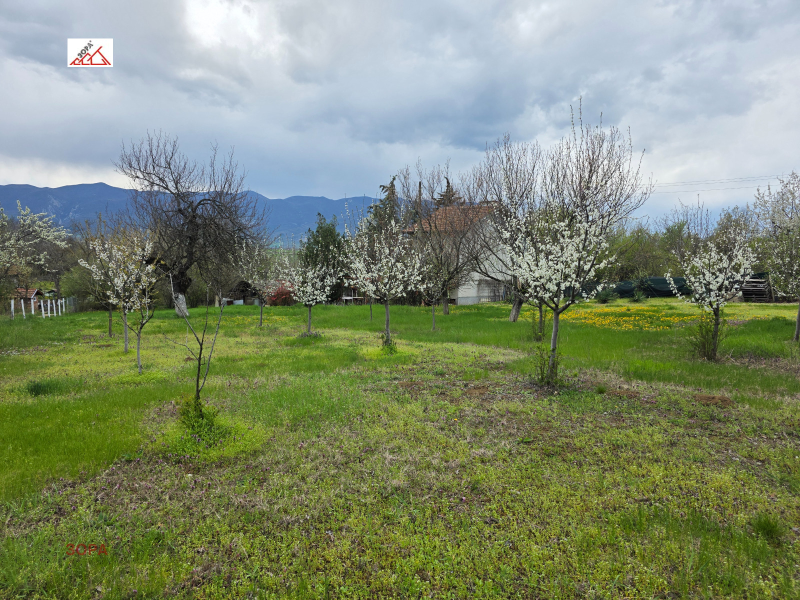 ������� ���� | Imot.bg � ����������� 5