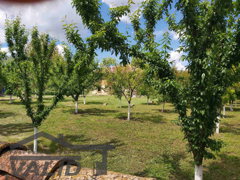 Til salg  Hus region Ruse , Chilnov , 60 kvm | 73386943 - billede [4]