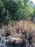 Продава ПАРЦЕЛ, гр. София, Младост 3, снимка 2