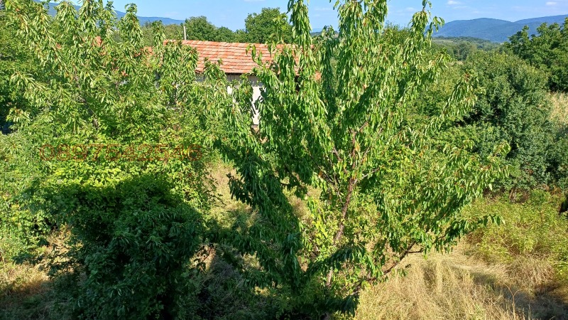 Продава КЪЩА, с. Врабево, област Ловеч, снимка 13 - Къщи - 52801901