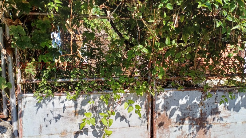 Продава КЪЩА, с. Врабево, област Ловеч, снимка 8 - Къщи - 52801901