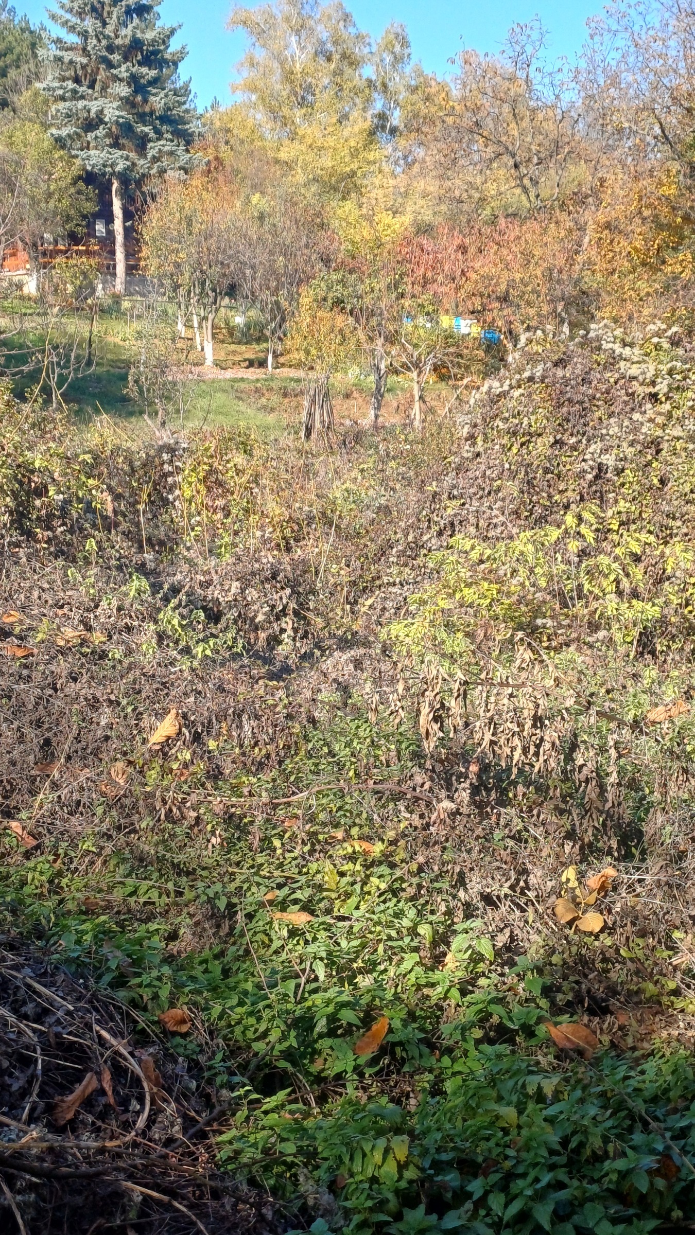 Продава ПАРЦЕЛ, гр. Перник, Пригаров район, снимка 2 - Парцели - 48981509