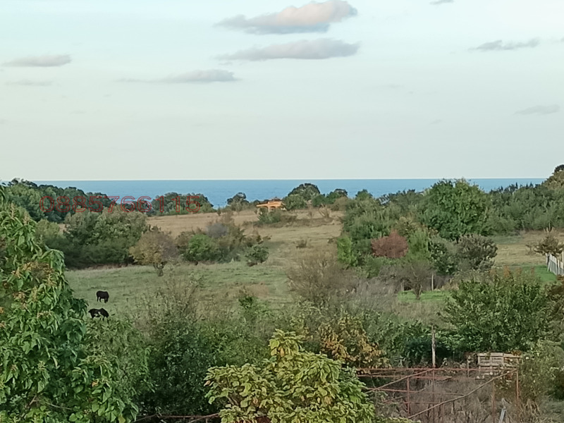 Til salgs  Studio region Burgas , Varvara , 31 kvm | 51754509 - bilde [12]
