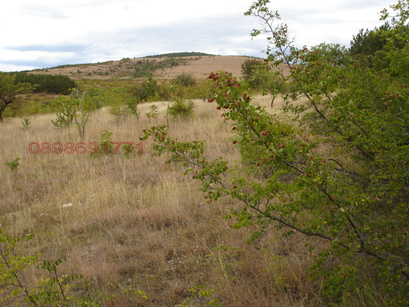 Продава ЗЕМЕДЕЛСКА ЗЕМЯ, с. Братя Даскалови, област Стара Загора, снимка 12 - Земеделска земя - 52758762