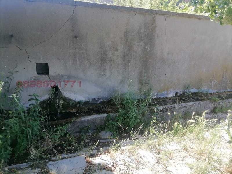 Продава ЗЕМЕДЕЛСКА ЗЕМЯ, с. Братя Даскалови, област Стара Загора, снимка 11 - Земеделска земя - 52758762