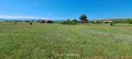 Продава ПАРЦЕЛ, област Перник, с. Червена могила • по договаряне • 86807035 1