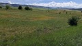 Продава ПАРЦЕЛ, област Перник, с. Червена могила • по договаряне • 86807035 11
