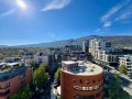 Продава  Многостаен град София , Кръстова вада , 304 кв.м | 85044780 - изображение [11]