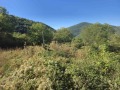 Продава  Парцел област София , с. Реброво , 1000 кв.м | 57506265 - изображение [4]