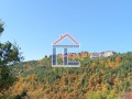Продава ЗЕМЕДЕЛСКА ЗЕМЯ, с. Сини връх, област Пловдив, снимка 2