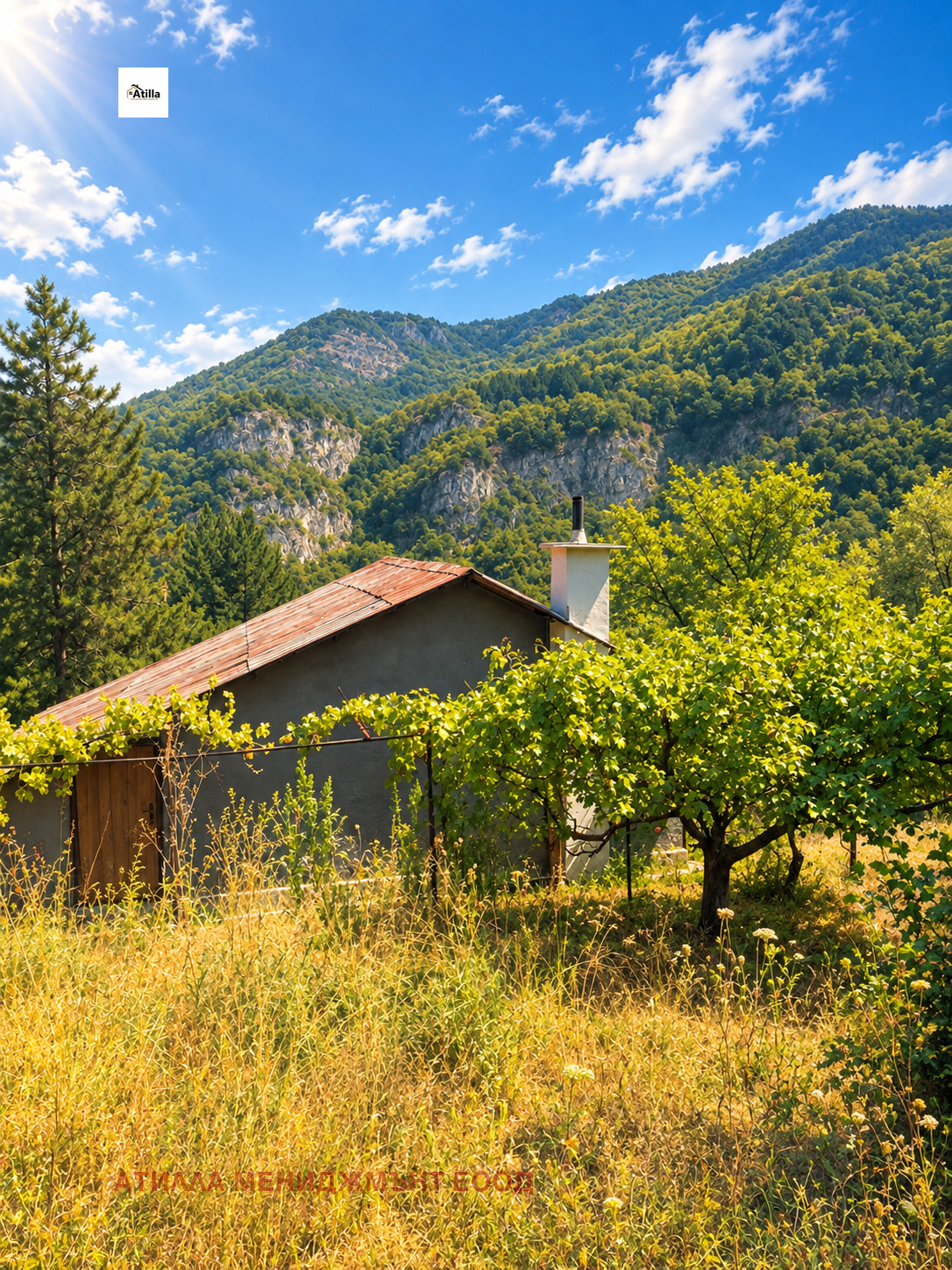 Продава КЪЩА, с. Бачково, област Пловдив, снимка 5 - Къщи - 56002144