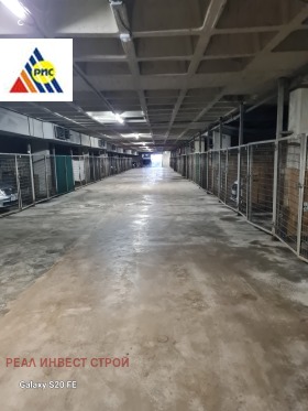 ����� ������� �����,���� �����, ���� ����� 2>