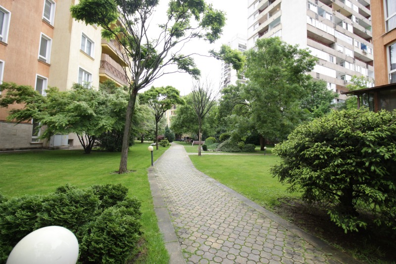 Продава  2-стаен град София , Борово , 75 кв.м | 39395234 - изображение [11]