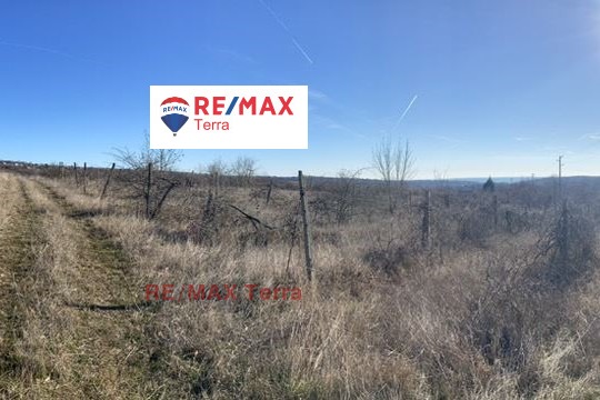 For Sale  Plot Varna , m-t Borovets - yug , 8556 sq.m | 81800395 - image [3]