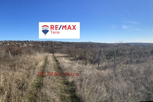 For Sale  Plot Varna , m-t Borovets - yug , 8556 sq.m | 81800395 - image [4]