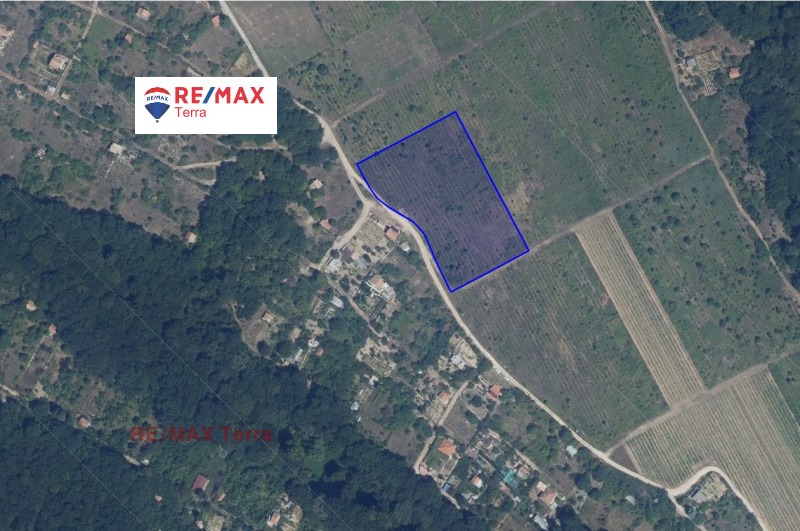 For Sale  Plot Varna , m-t Borovets - yug , 8556 sq.m | 81800395 - image [9]