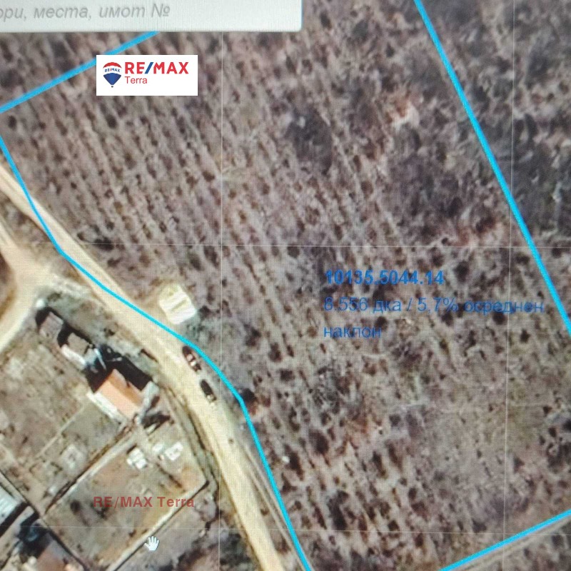 For Sale  Plot Varna , m-t Borovets - yug , 8556 sq.m | 81800395 - image [8]