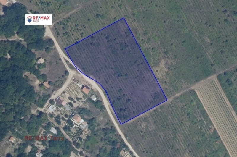 For Sale  Plot Varna , m-t Borovets - yug , 8556 sq.m | 81800395 - image [2]