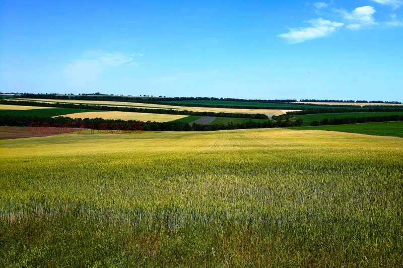 Продава ЗЕМЕДЕЛСКА ЗЕМЯ, с. Топола, област Добрич
