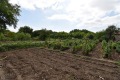 Продава КЪЩА, област Велико Търново, с. Обединение • 34995 € • 14066203 — Holmes.bg