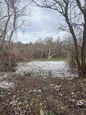 ������ ������� ������