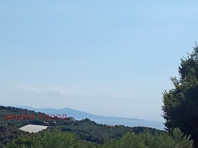 ����� ������� ������,������, ������