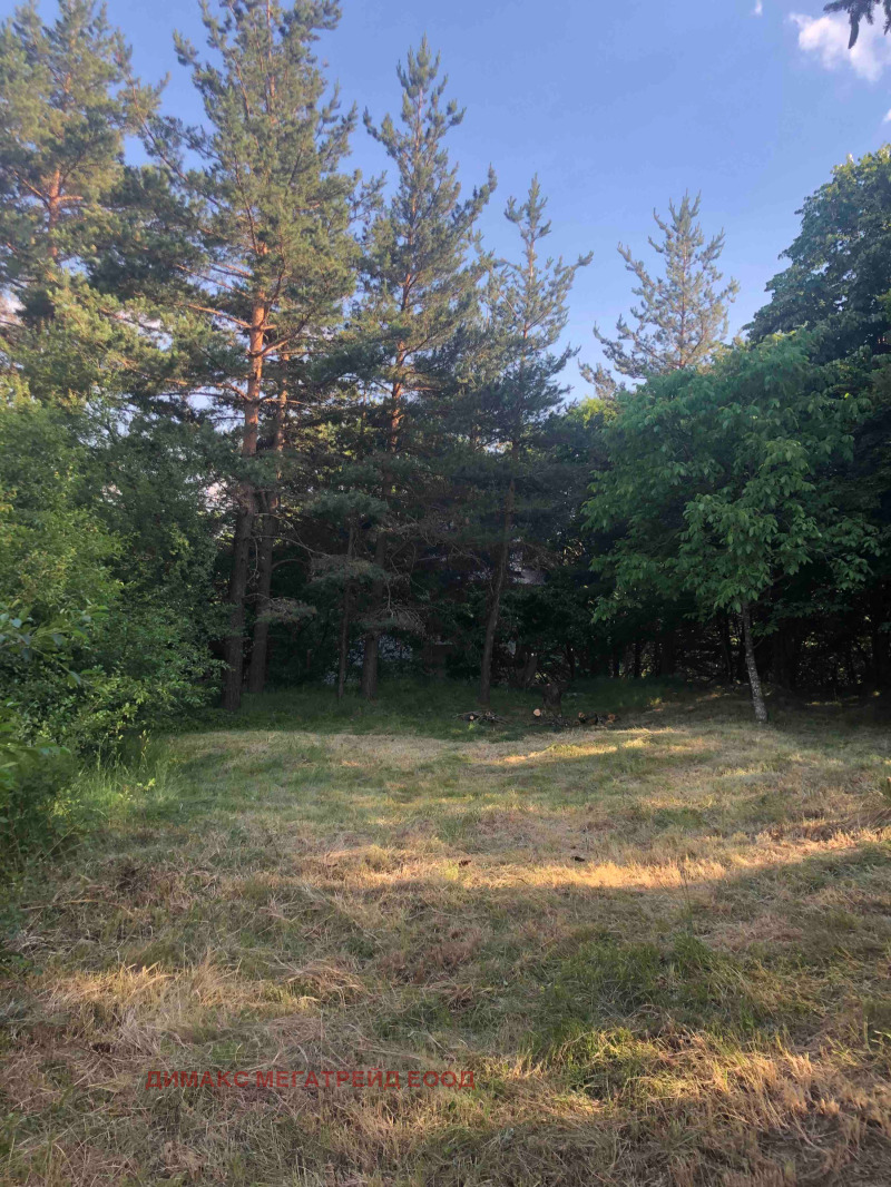 Продава  Парцел област София , в.з.Ярема , 1044 кв.м | 13258270 - изображение [3]