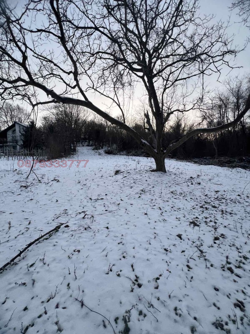 Продава ПАРЦЕЛ, с. Кичево, област Варна, снимка 4 - Парцели - 53594788