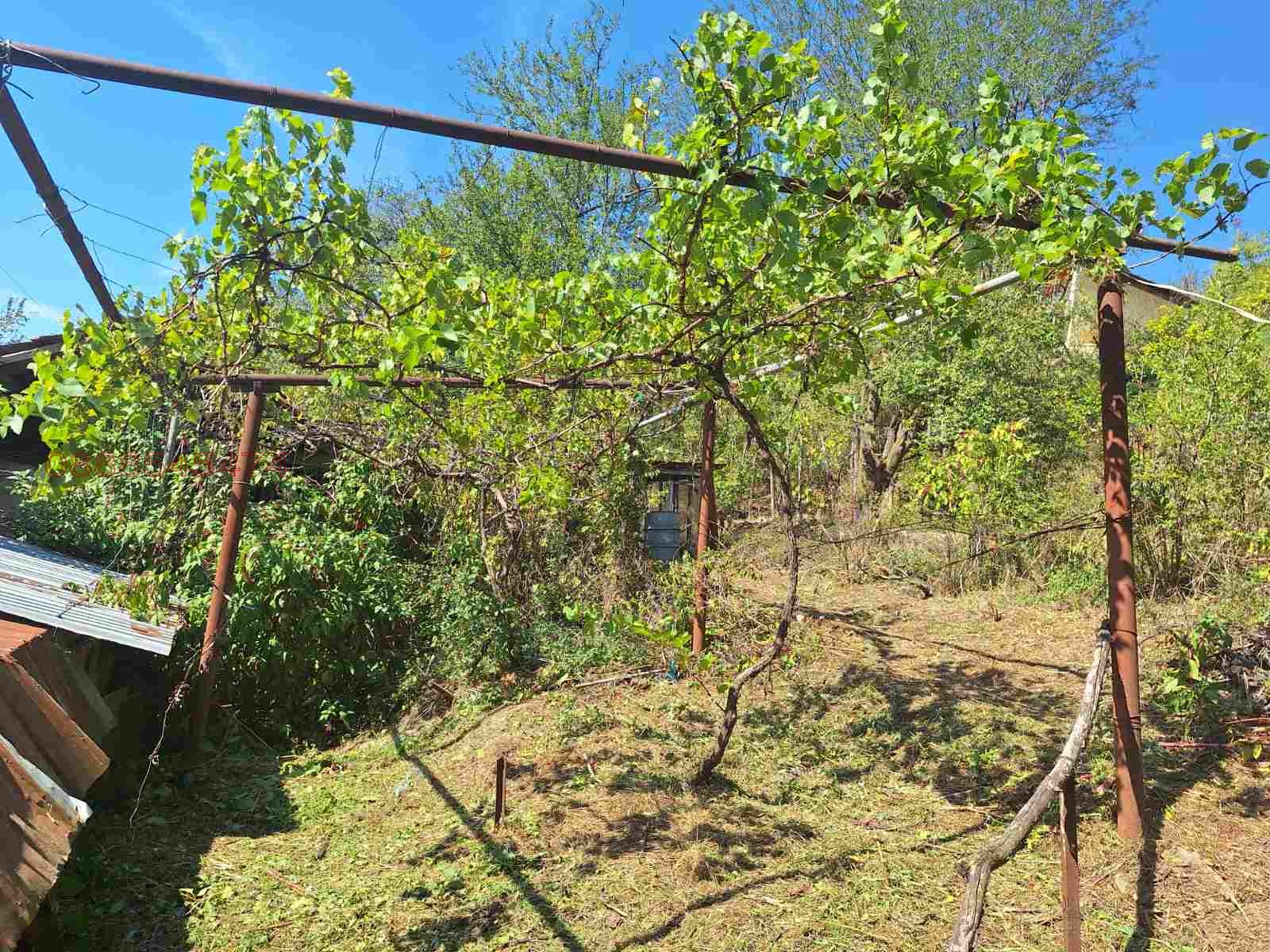 Продава ВИЛА, с. Малки чифлик, област Велико Търново, снимка 11 - Вили - 53816025