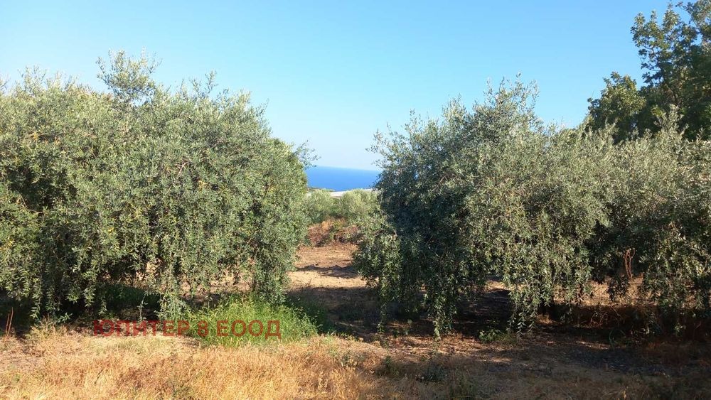 Продава ПАРЦЕЛ, Извън страната, област Извън страната, снимка 16 - Парцели - 54014438