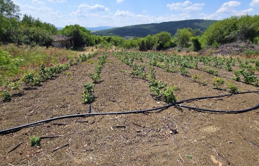 Продава ПАРЦЕЛ, с. Прибой, област Перник, снимка 3 - Парцели - 56275549