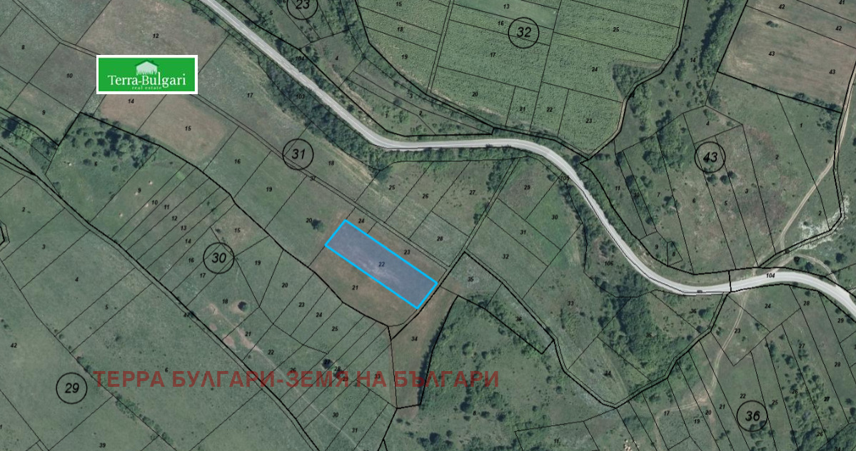 Продава ЗЕМЕДЕЛСКА ЗЕМЯ, с. Витановци, област Перник, снимка 4 - Земеделска земя - 53788855