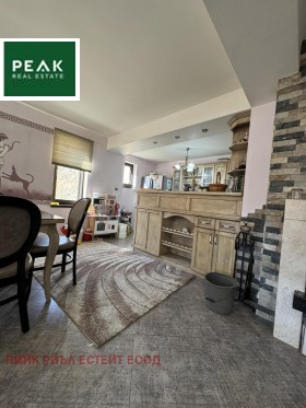 ����� ������� ����,���� �������, �����