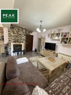 ����� ������� ����,���� �������, �����