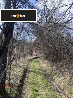 ������� ���� | Imot.bg � ����� ������ 8