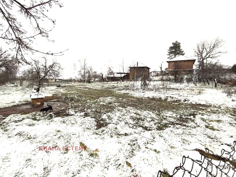 Продава ПАРЦЕЛ в област Видин, с. Иново - 1400 кв.м / 20 000 € » 39 116.60 лв., ДИАНА ЕСТЕЙТ