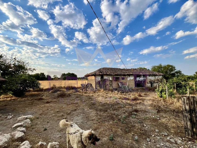In vendita  Terra regione Dobrič , Zmeevo , 13 dka | 40533151 - Immagine [17]