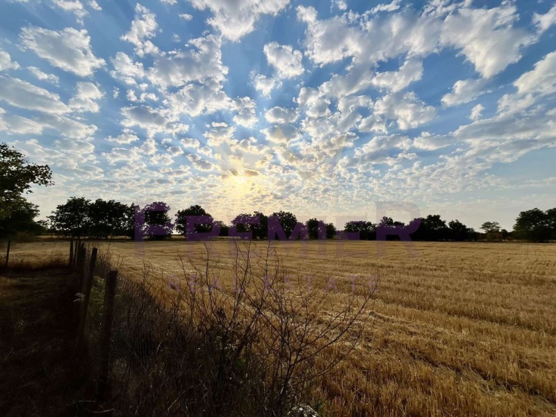 In vendita  Terra regione Dobrič , Zmeevo , 13 dka | 40533151 - Immagine [2]
