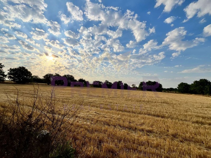 In vendita  Terra regione Dobrič , Zmeevo , 13 dka | 40533151