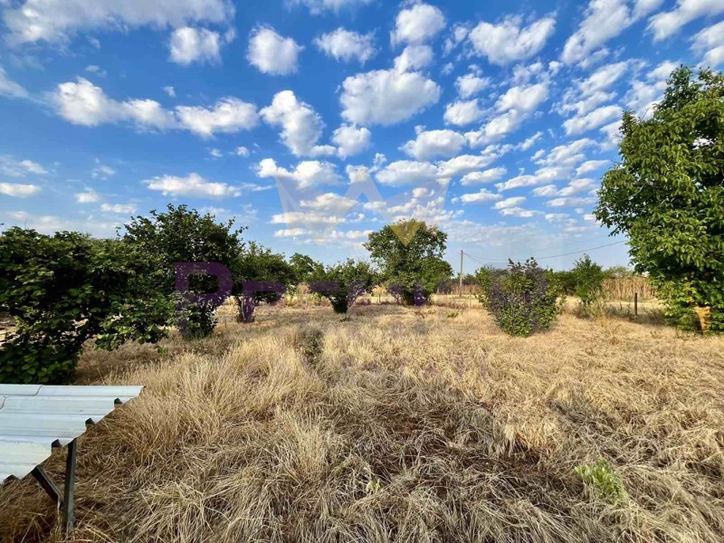In vendita  Terra regione Dobrič , Zmeevo , 13 dka | 40533151 - Immagine [6]