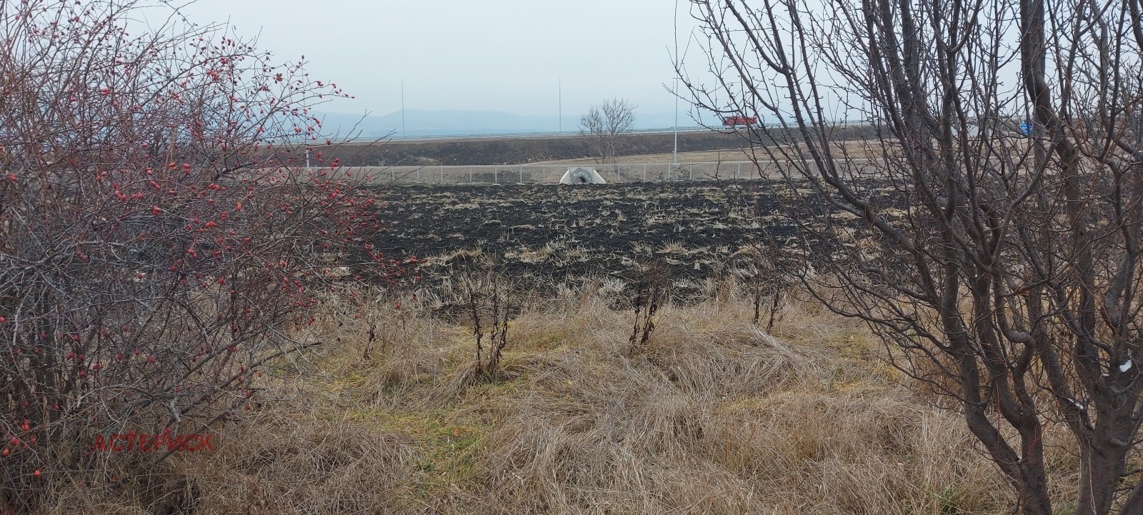 Продава ЗЕМЕДЕЛСКА ЗЕМЯ | Imot.bg — изображение 7