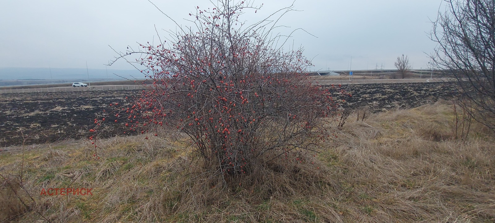 Продава ЗЕМЕДЕЛСКА ЗЕМЯ | Imot.bg — изображение 3