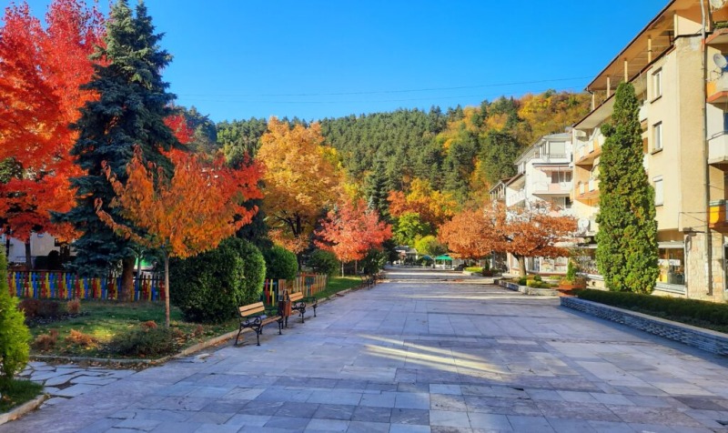 Till salu  Hus region Montana , Berkovica , 205 kvm | 49124902 - bild [15]