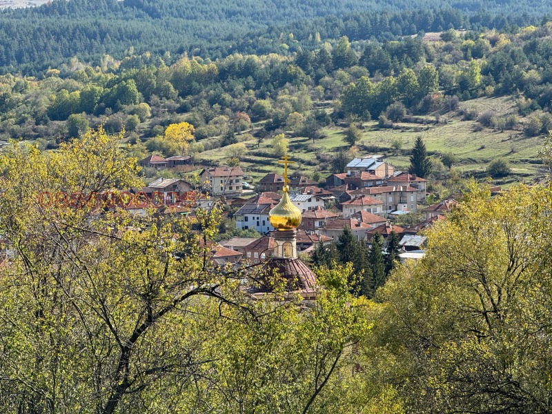 Na sprzedaż  Działka region Pazardżik , Batak , 1180 mkw | 98335843 - obraz [2]