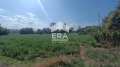 Продава ПАРЦЕЛ, област Търговище, с. Алваново • 47000 лв. / 24030.72 € • 90675513 1
