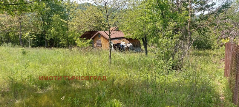 Продава ВИЛА, с. Велчево, област Велико Търново, снимка 10 - Вили - 40639659