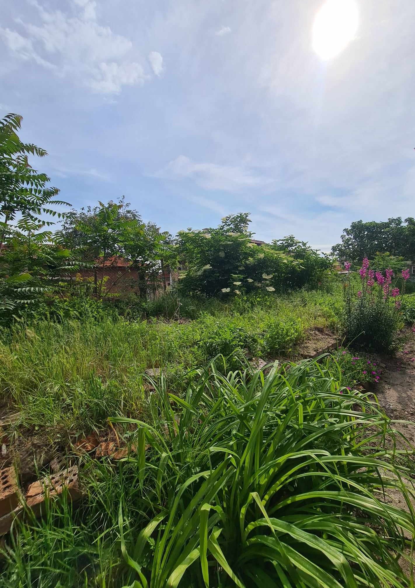 ������� ���������� | Imot.bg � ����������� 15